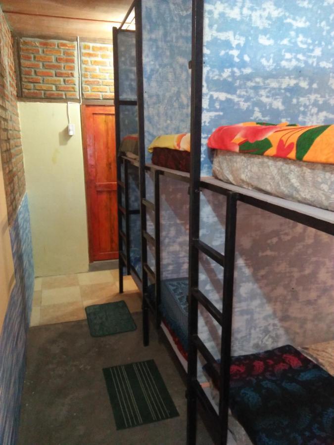 Salty Dog Hostel Telukdalem Extérieur photo