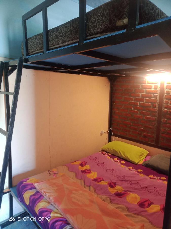 Salty Dog Hostel Telukdalem Extérieur photo